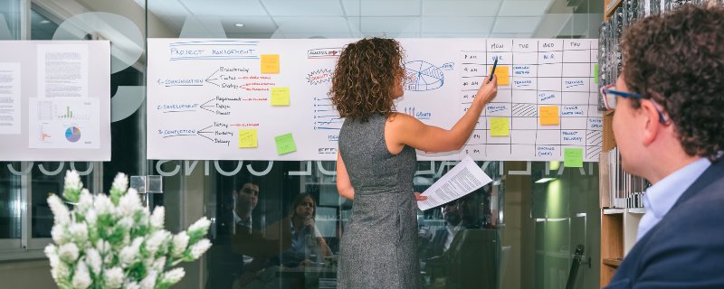 m&eacute;tier de la gestion de projet